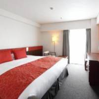 Room #37200049