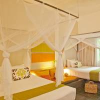 Deluxe Room Poolside Twin