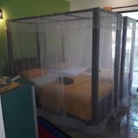 Standard Double or Twin Room with Pool View