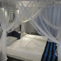Standard Double Room with Fan