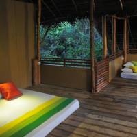 Family Tree House