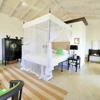 Plantation Pool Villa - Nelum