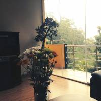 Studio