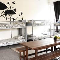 Bed in 8-Bed Mixed Dormitory Room