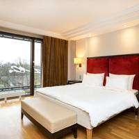 Premium Room with Park View