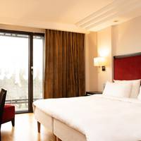 Superior Room with Park View