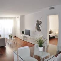 One-Bedroom Apartment with Balcony - Penthouse