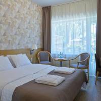 Double or Twin Room with Terrace with SPA Access