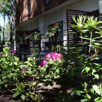 Studio Suite with Terrace with SPA Access