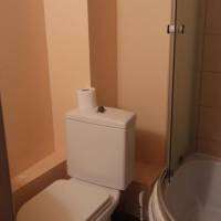 Apartment with Shower