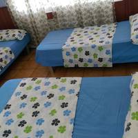Triple Room with Shared Bathroom