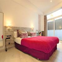 Superior One-Bedroom Apartment with Terrace