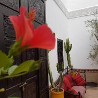Comfort Double Room with Shower - Jago Lila