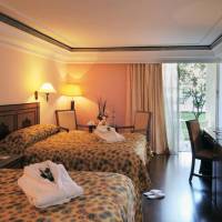 Double Room with Pool View