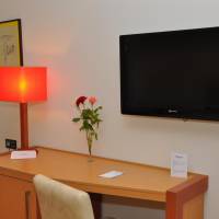 Luxury Single Room