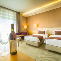 Executive Twin Room