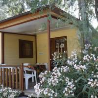 Mobile Home