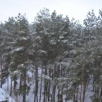 Апартаменты