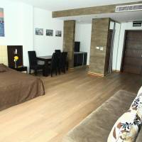 Studio Apartment with Balcony and Sea View