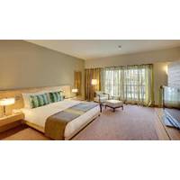 Room #44050812