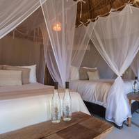 Jungle View Cabin - 2 Beds