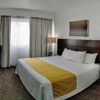 Room #37681912