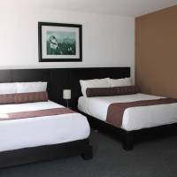 Junior Suite (4 Adults)