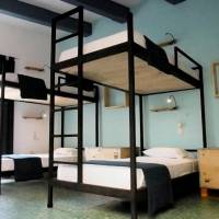 Single Bed in Mixed Dormitory Room