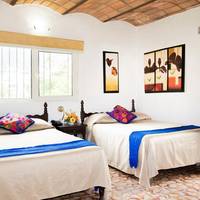 Double Room with Two Double Beds