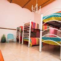 Bunk Bed in Female Dormitory Room  