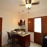 Deluxe One-Bedroom Apartment