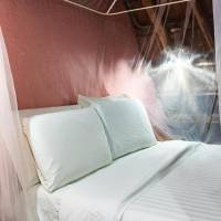 Budget Single Room