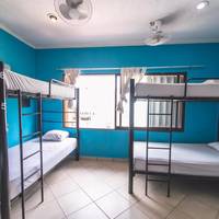 Bed in 10-Bed Mixed Dormitory Room