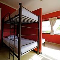 Bed in 5-Bed Mixed Dormitory Room