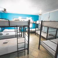 Bed in 12-Bed Mixed Dormitory Room