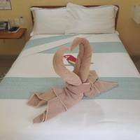 Double Room (1 Adult + 1 Child)