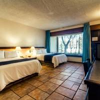 Standard Double Room with Two Double Beds - Pool View 