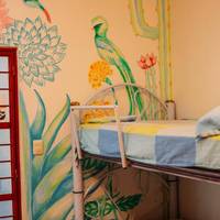 Single Bed in Dormitory Room