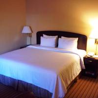 King Room with Sofa Bed