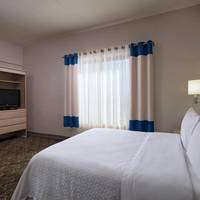 1 Bedroom Executive Suite, 1 Queen, Sofa bed