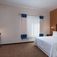 Deluxe Junior Suite, 1 Bedroom Suite, 1 Queen, Sofa bed