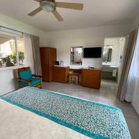 Deluxe Suite with Spa Bath