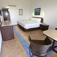 King Room with Partial Ocean View - Non-Smoking