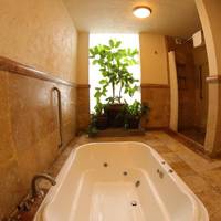 Superior Suite 2