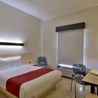 Standard Room with One Queen Bed