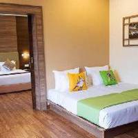 Room #33560242