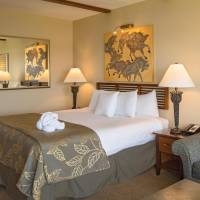 Basic Triple Room