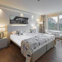 Superior Double Room with Lake View