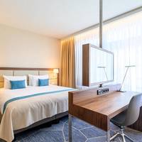 Business King Room