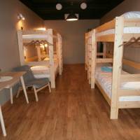 Bed in 8-Bed Dormitory Room